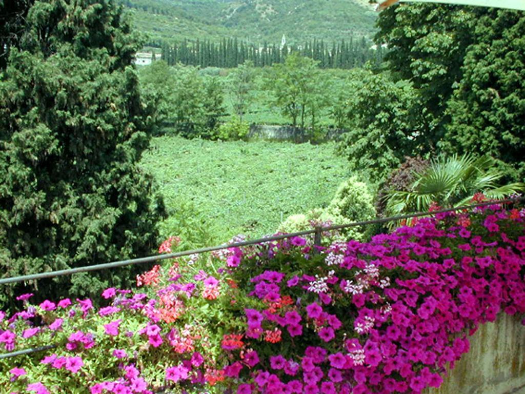 B&B Villa Monteleone SantʼAmbrogio di Valpolicella Exterior foto