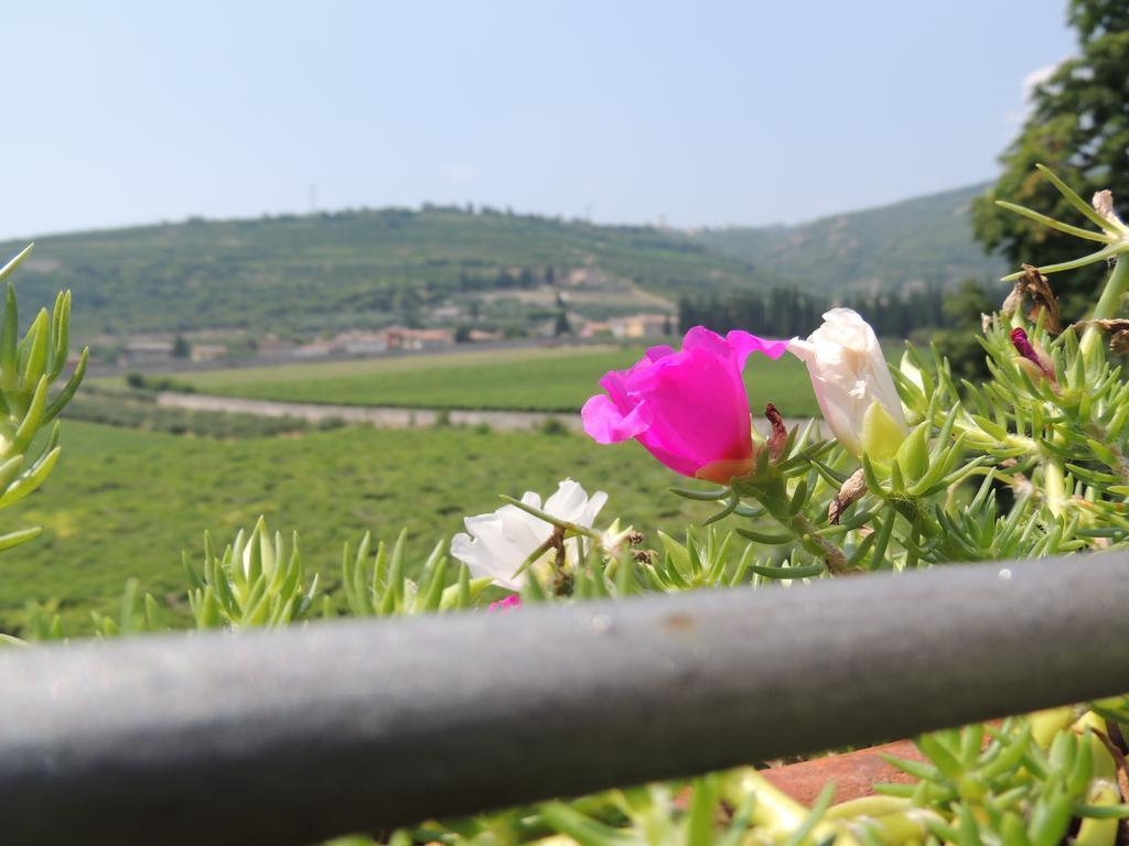 B&B Villa Monteleone SantʼAmbrogio di Valpolicella Exterior foto
